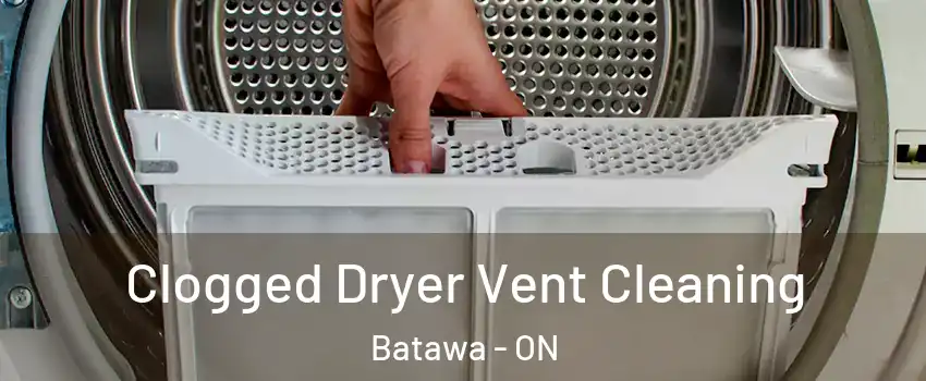  Clogged Dryer Vent Cleaning Batawa - ON