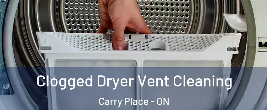  Clogged Dryer Vent Cleaning Carry Place - ON
