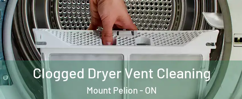  Clogged Dryer Vent Cleaning Mount Pelion - ON