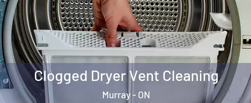  Clogged Dryer Vent Cleaning Murray - ON