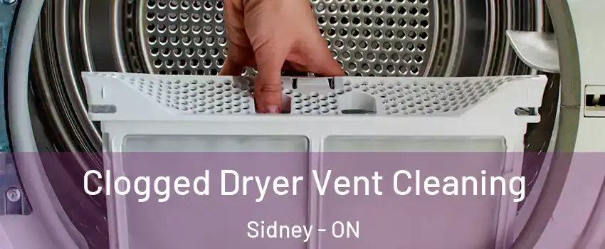  Clogged Dryer Vent Cleaning Sidney - ON
