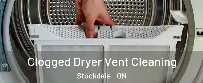  Clogged Dryer Vent Cleaning Stockdale - ON