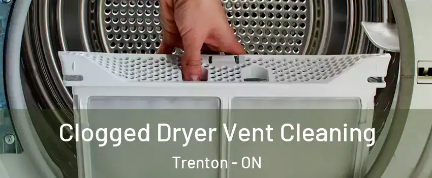  Clogged Dryer Vent Cleaning Trenton - ON