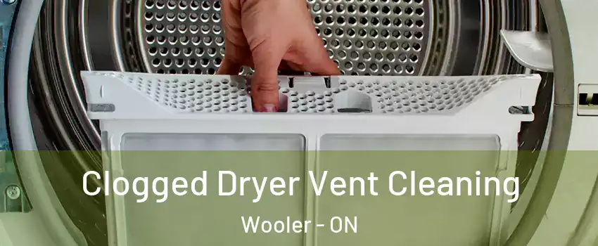  Clogged Dryer Vent Cleaning Wooler - ON