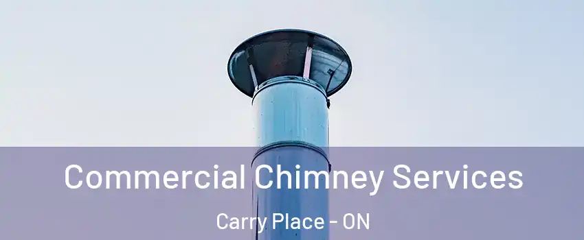  Commercial Chimney Services Carry Place - ON
