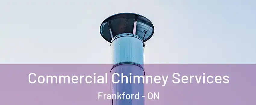  Commercial Chimney Services Frankford - ON