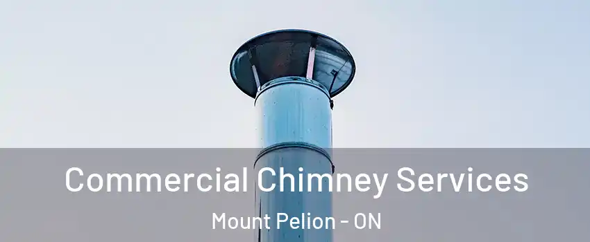  Commercial Chimney Services Mount Pelion - ON