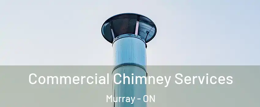  Commercial Chimney Services Murray - ON