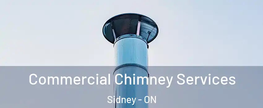  Commercial Chimney Services Sidney - ON