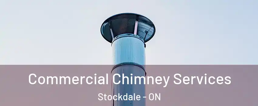  Commercial Chimney Services Stockdale - ON