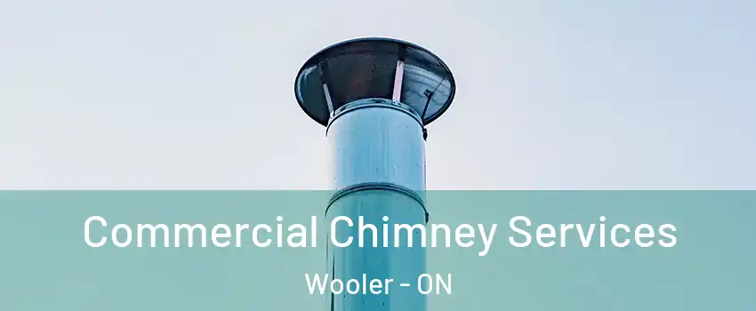  Commercial Chimney Services Wooler - ON