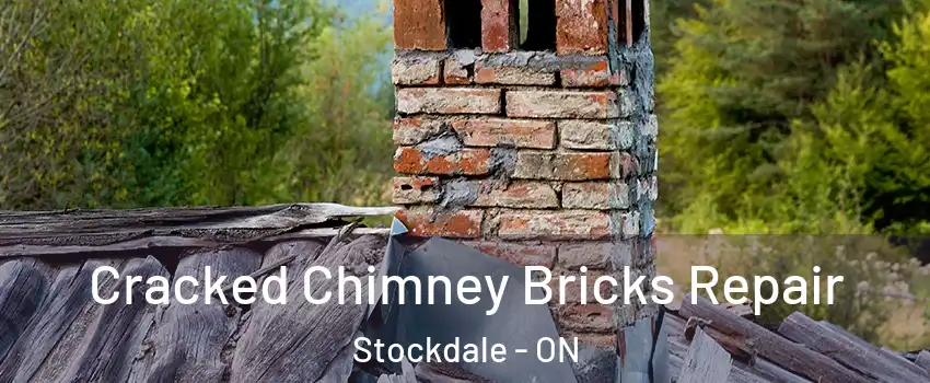  Cracked Chimney Bricks Repair Stockdale - ON