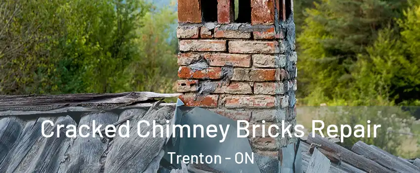  Cracked Chimney Bricks Repair Trenton - ON
