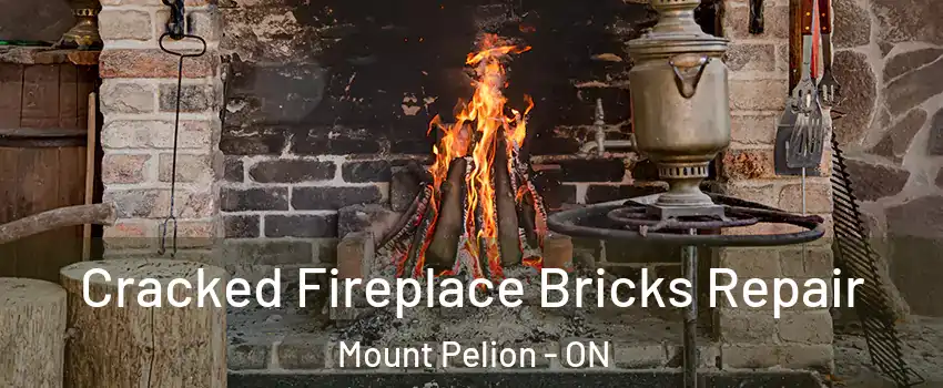  Cracked Fireplace Bricks Repair Mount Pelion - ON
