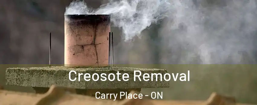  Creosote Removal Carry Place - ON