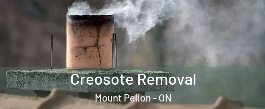  Creosote Removal Mount Pelion - ON