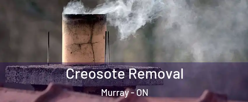  Creosote Removal Murray - ON