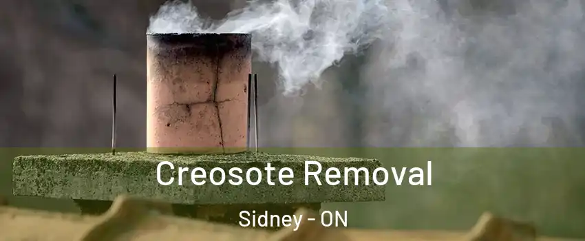  Creosote Removal Sidney - ON