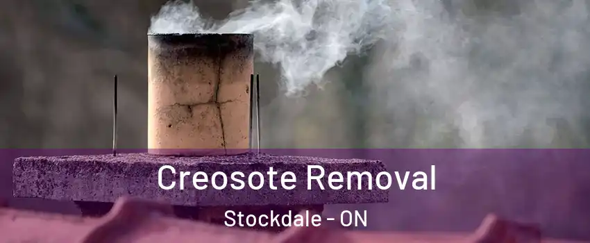  Creosote Removal Stockdale - ON