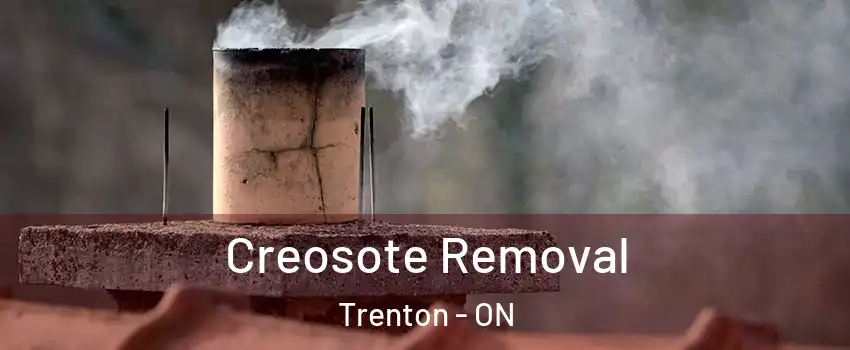  Creosote Removal Trenton - ON