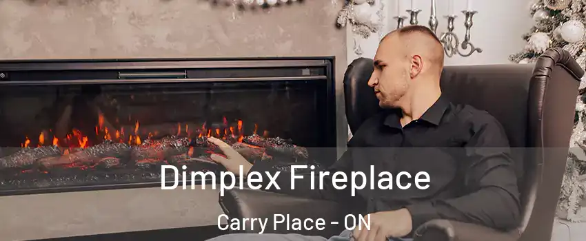 Dimplex Fireplace Carry Place - ON
