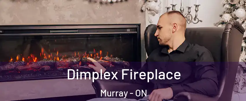  Dimplex Fireplace Murray - ON