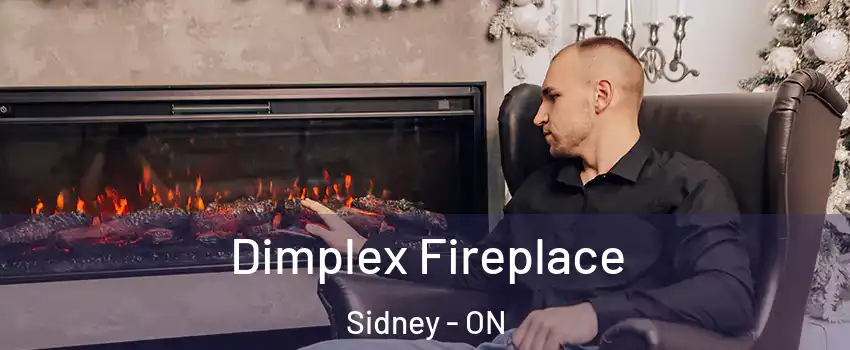  Dimplex Fireplace Sidney - ON