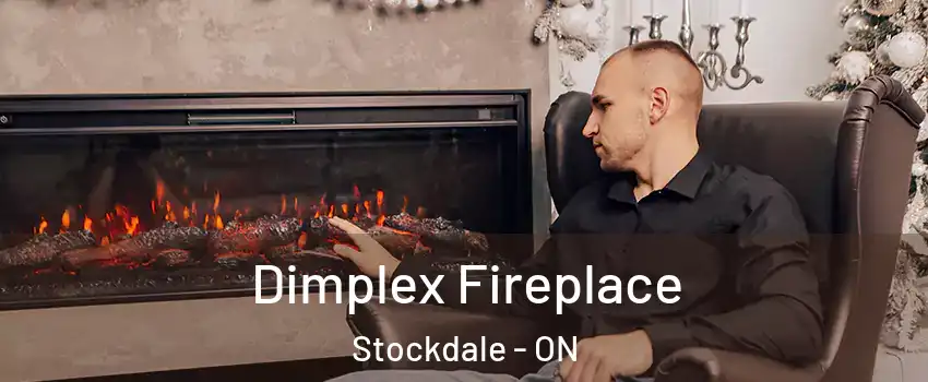  Dimplex Fireplace Stockdale - ON