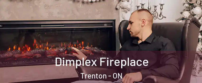  Dimplex Fireplace Trenton - ON
