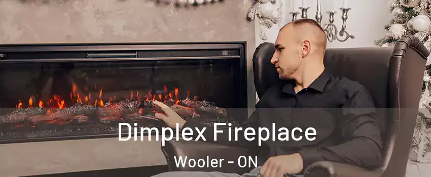  Dimplex Fireplace Wooler - ON