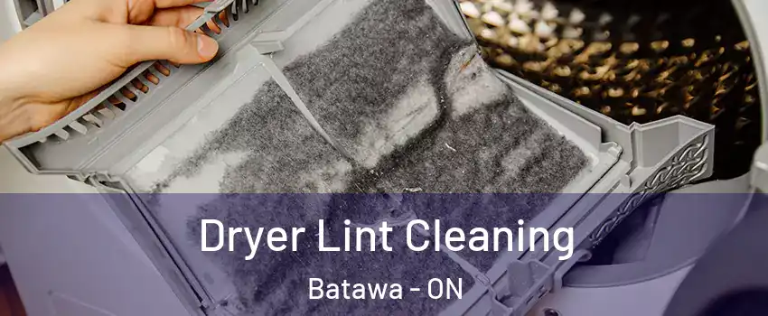 Dryer Lint Cleaning Batawa - ON