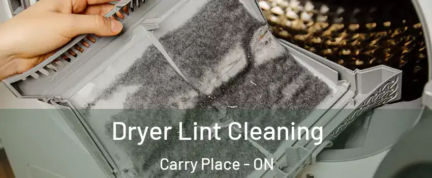  Dryer Lint Cleaning Carry Place - ON