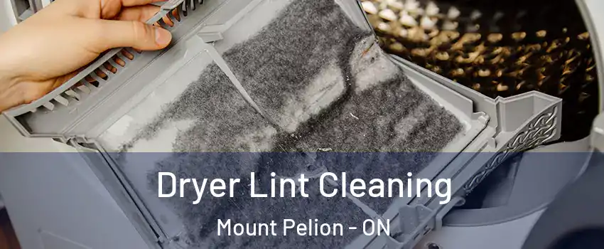  Dryer Lint Cleaning Mount Pelion - ON