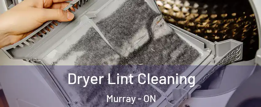  Dryer Lint Cleaning Murray - ON
