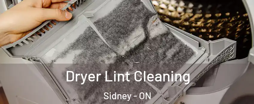  Dryer Lint Cleaning Sidney - ON