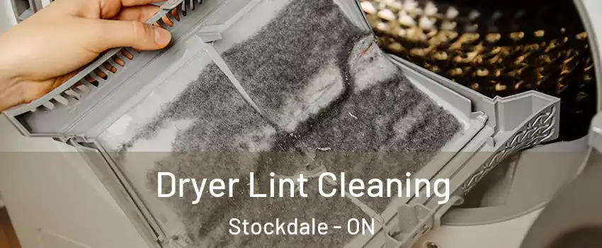  Dryer Lint Cleaning Stockdale - ON