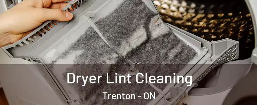  Dryer Lint Cleaning Trenton - ON