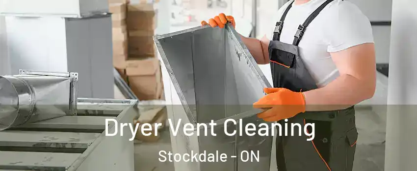  Dryer Vent Cleaning Stockdale - ON