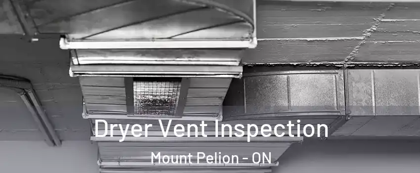  Dryer Vent Inspection Mount Pelion - ON