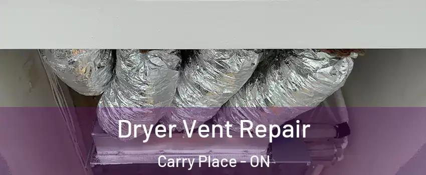  Dryer Vent Repair Carry Place - ON