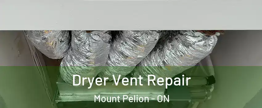  Dryer Vent Repair Mount Pelion - ON