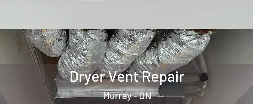  Dryer Vent Repair Murray - ON