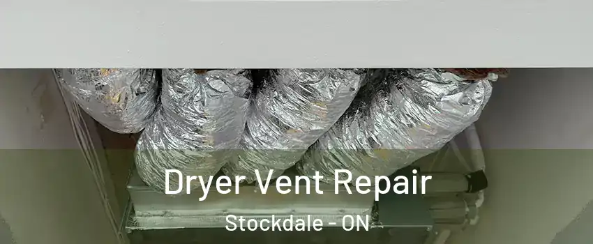  Dryer Vent Repair Stockdale - ON