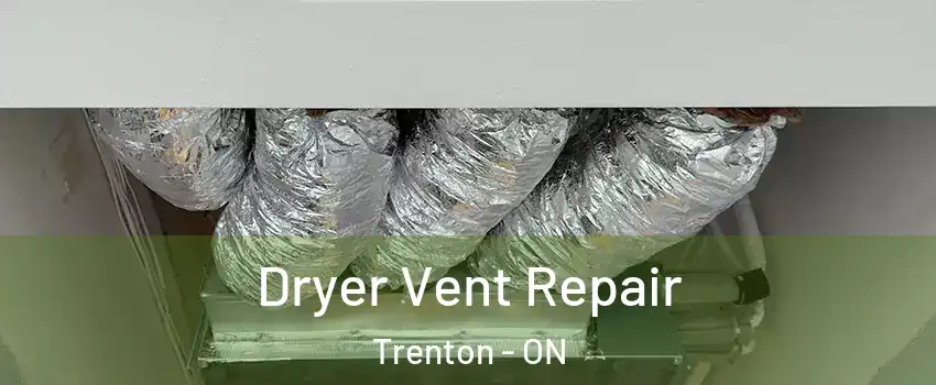  Dryer Vent Repair Trenton - ON