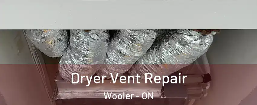  Dryer Vent Repair Wooler - ON