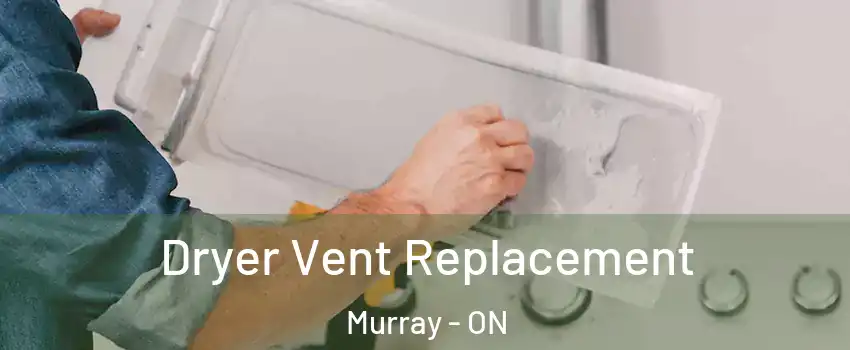  Dryer Vent Replacement Murray - ON