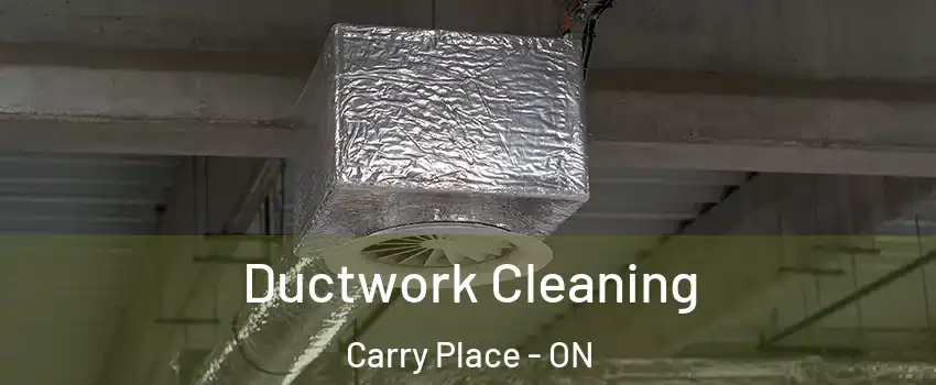  Ductwork Cleaning Carry Place - ON