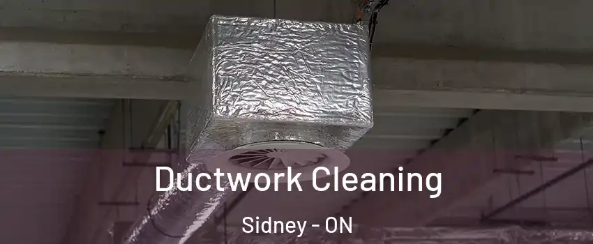  Ductwork Cleaning Sidney - ON