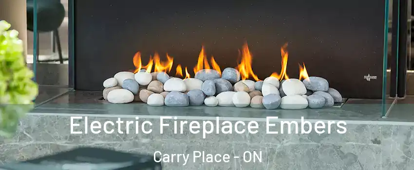  Electric Fireplace Embers Carry Place - ON