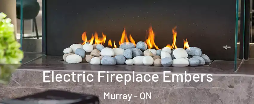  Electric Fireplace Embers Murray - ON